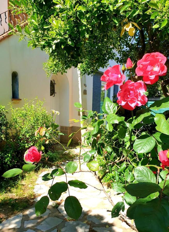 Studio Au Calme Tout Confort Proche Des Plages - Jardin Wifi Parking Fréjus Extérieur photo